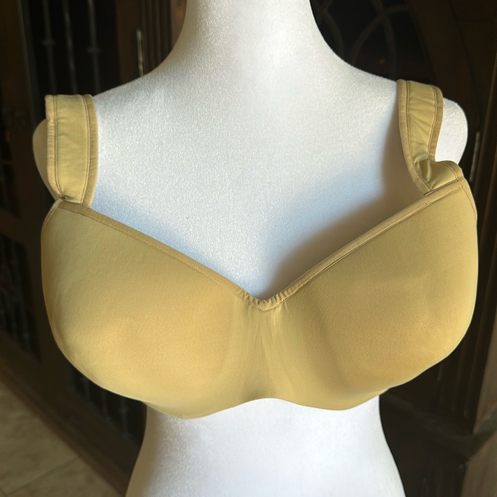 Le Mystere Renaissance Dream Tisha Size 32F